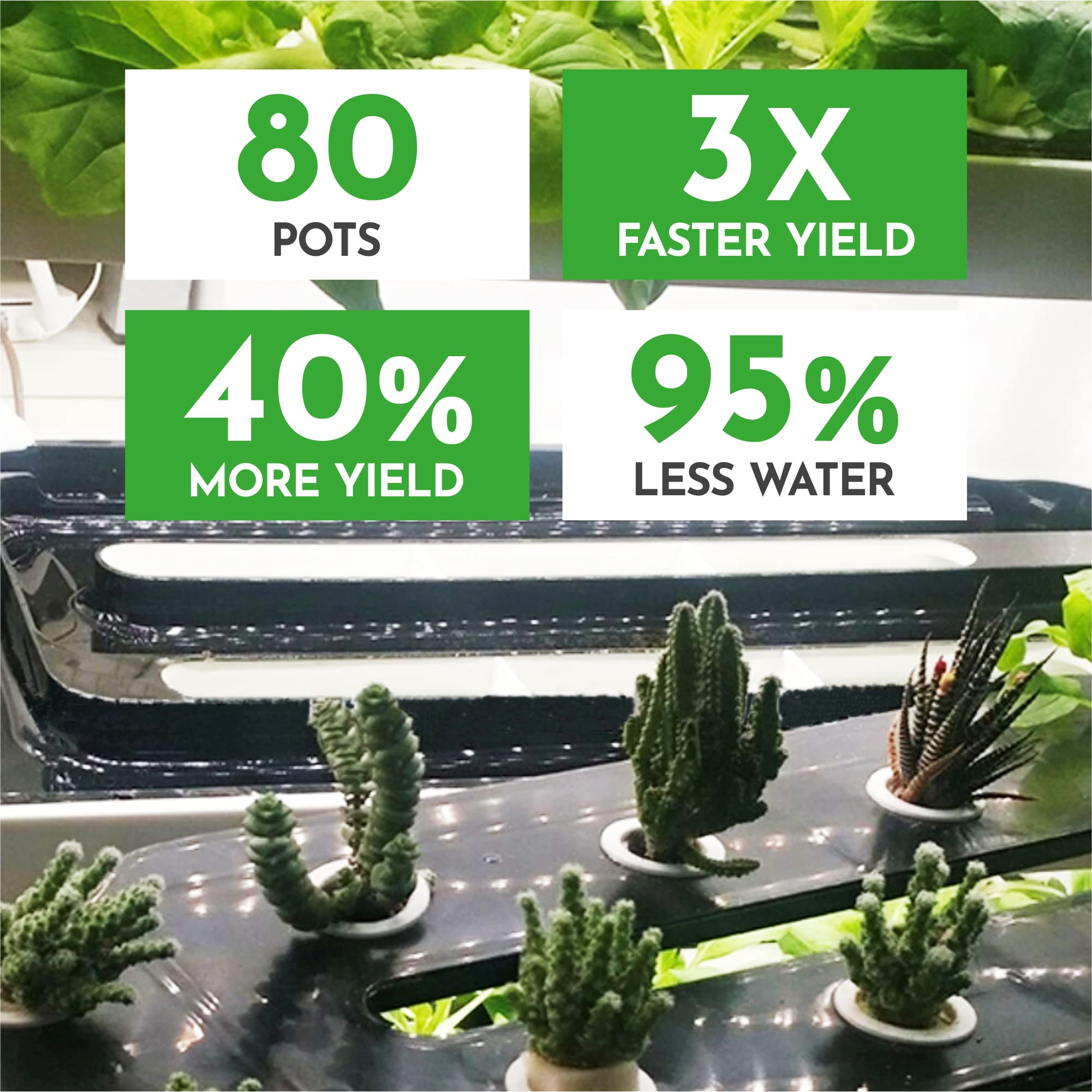 72-Planters-and-82-Seeding-Sites-04.jpg